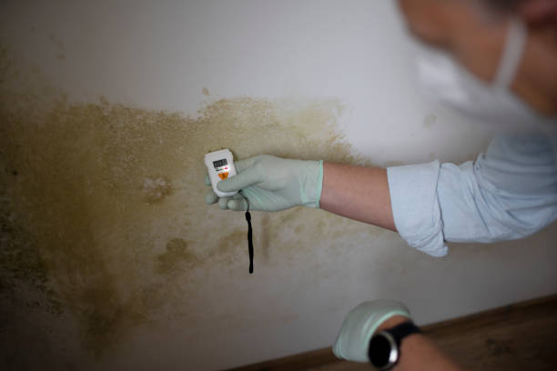 Mold Documentation for Insurance Claims in Carroll Valley, PA